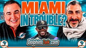 Video post by @dolphinstalk on YouTube