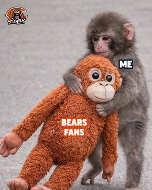 Image post by @therealstaley on Instagram