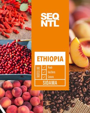 Image post by @sequentialcoffee on Instagram