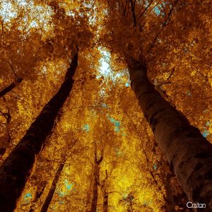 Image post by @cristan.nature.photography on Instagram