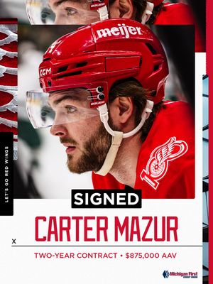 Image post by @detroitredwings on Instagram