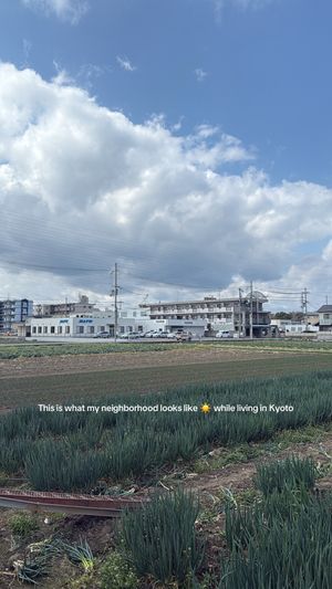 Video post by @myachuntao on TikTok