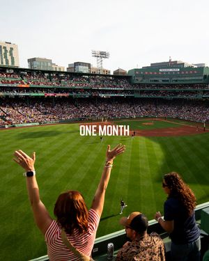 Image post by @fenwaypark on Twitter