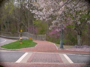 Image post by @unccharlotte on Instagram