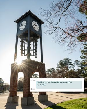 Image post by @ccuchanticleers on Instagram