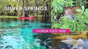 Video post by @epicsaltylife on YouTube