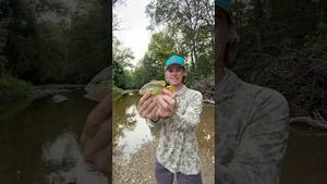 Video post by @daltonmauldin5 on YouTube