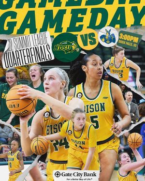 Image post by @ndsuwbb on Instagram