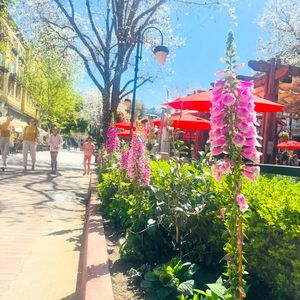 Image post by @santanarow on Instagram