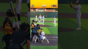 Video post by @thesavannahbananas on YouTube