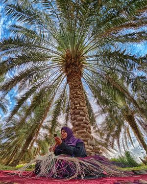 Image post by @abbasalkhamis on Instagram