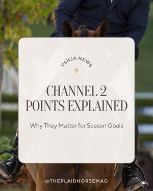 Image post by @theplaidhorsemag on Instagram
