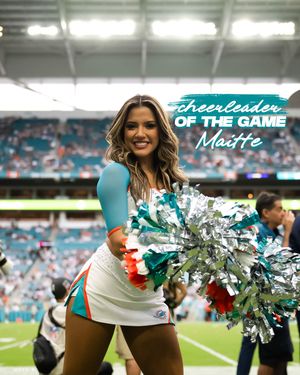 Image post by @dolphinscheer on Twitter