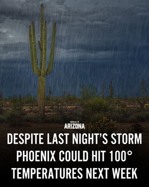 Image post by @welcometoarizona on Instagram