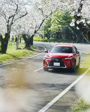 Image post by @discoverlexus on Instagram