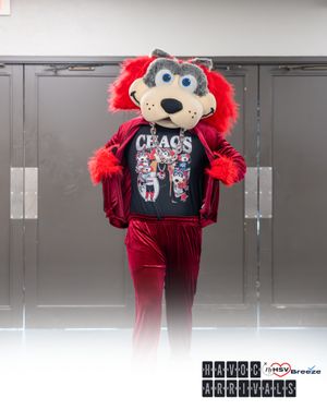 Image post by @huntsvillehavoc on Instagram