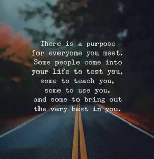 Image post by @mansi.mansharamani on Instagram