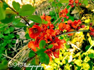 Image post by @c91photography on Instagram