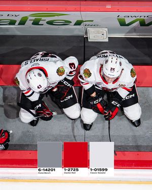 Image post by @rockfordicehogs on Instagram