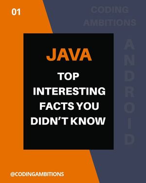 Image post by @codingambitions on Instagram