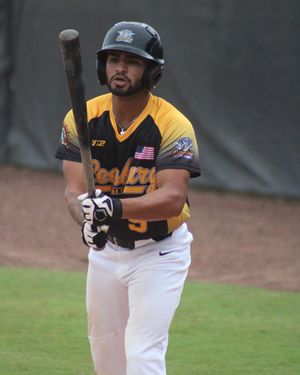 Image post by @leesburglightning on Instagram