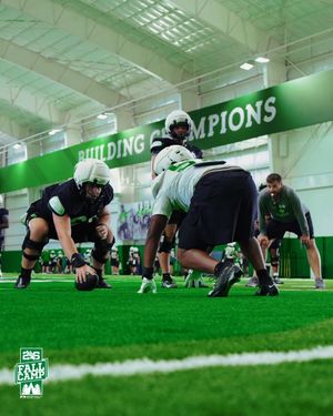 Image post by @meangreenfb on Instagram