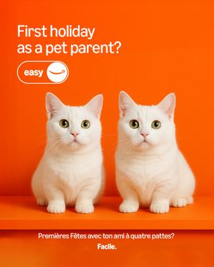 Image post by @amazonca on Instagram