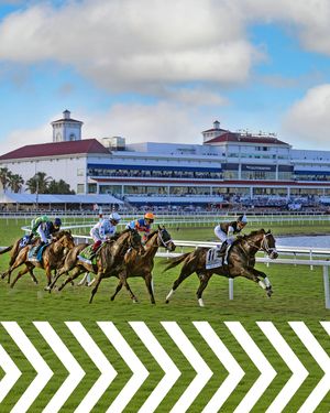 Image post by @pegasusworldcup on Instagram