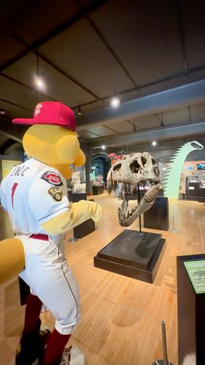 Video post by @WisconsinTimberRattlers on Facebook
