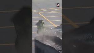 Video post by @indycaronfox on YouTube