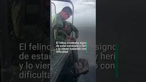 Video post by @laopinionla on YouTube