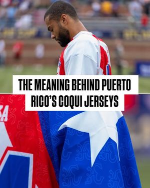 Image post by @usalacrosse on Instagram