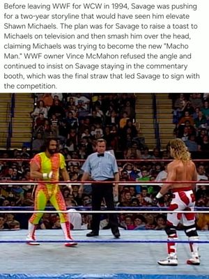 Image post by @themachoverse on Instagram