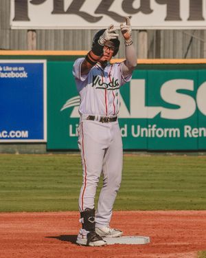 Image post by @gowoodducks on Instagram