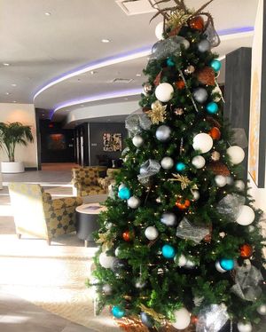 Image post by @embassysuitesgvilledt on Instagram