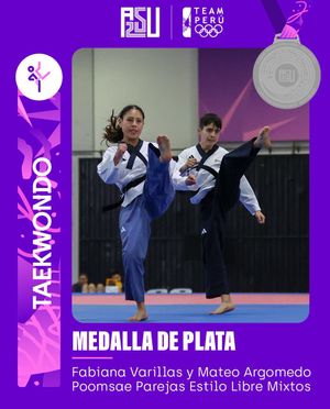 Image post by @copteamperu on Twitter/X