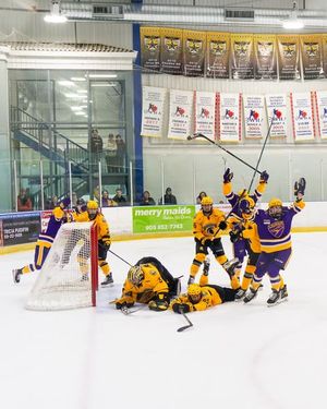 Image post by @laurierwhockey on Instagram