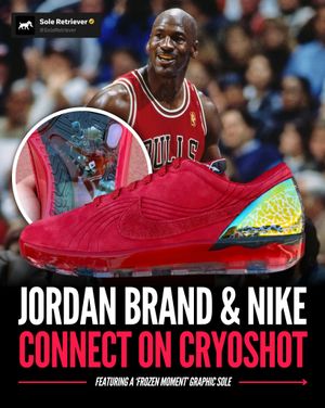Image post by @soleretriever on Instagram