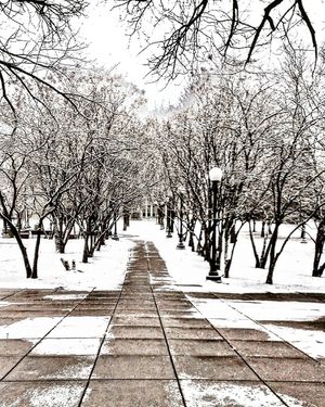 Image post by @visitsaintpaul on Instagram