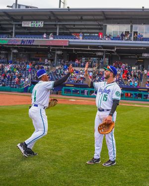 Image post by @hartfordyardgoats on Instagram