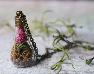 Image post by @leafyaffair on Instagram