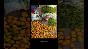 Video post by @dji on YouTube