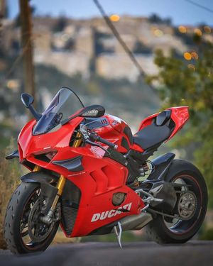 Image post by @panigalers on Instagram