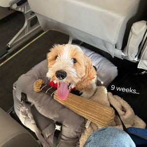 Image post by @flyjsx on Instagram