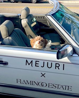 Image post by @mejuri on Instagram
