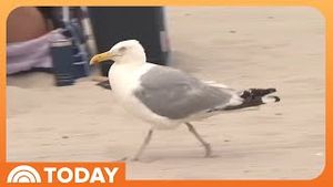 Video post by @today on YouTube