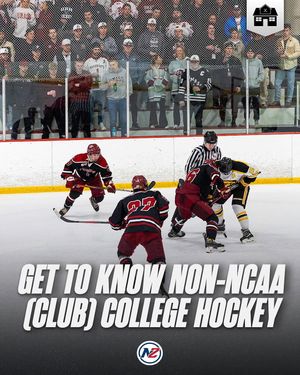 Image post by @hockeyhousepod on Instagram