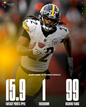Image post by @steelersupdatecom on Instagram