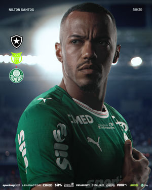 Image post by @palmeiras on Instagram