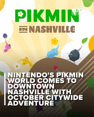 Image post by @foxnashville on Instagram
